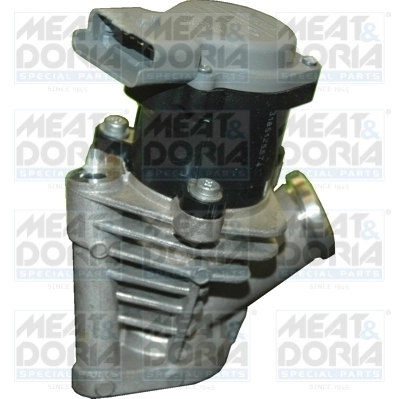 EGR Valve